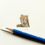 tiny cheetah cub 2